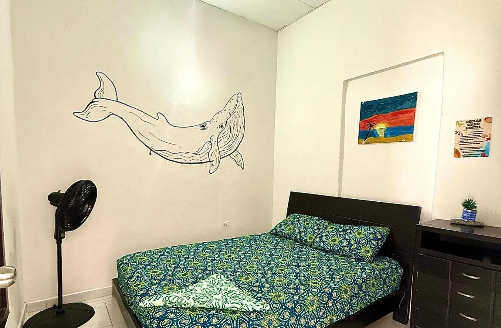 Squid Hostel Santa Marta  Santa Marta (Magdalena)